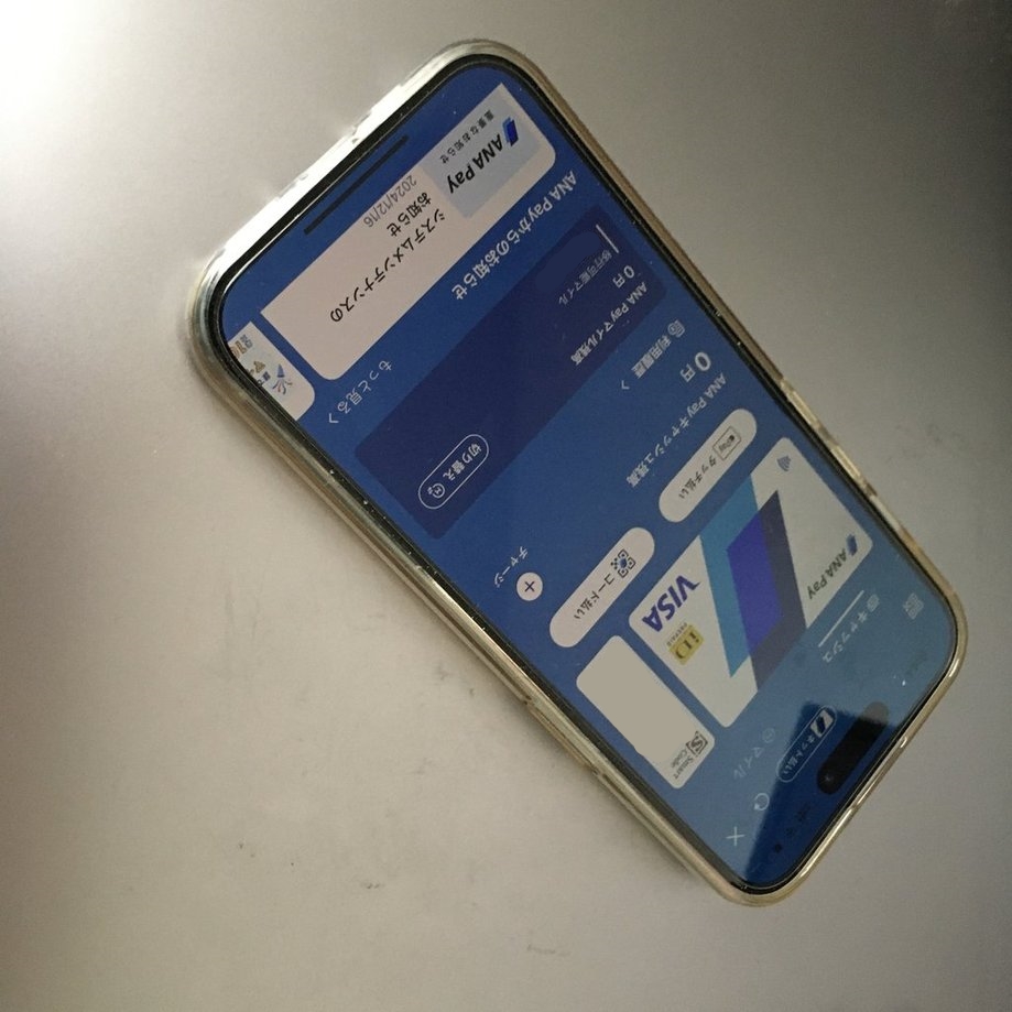 ANAPay などのバーチャルカードできっぷを買う方法