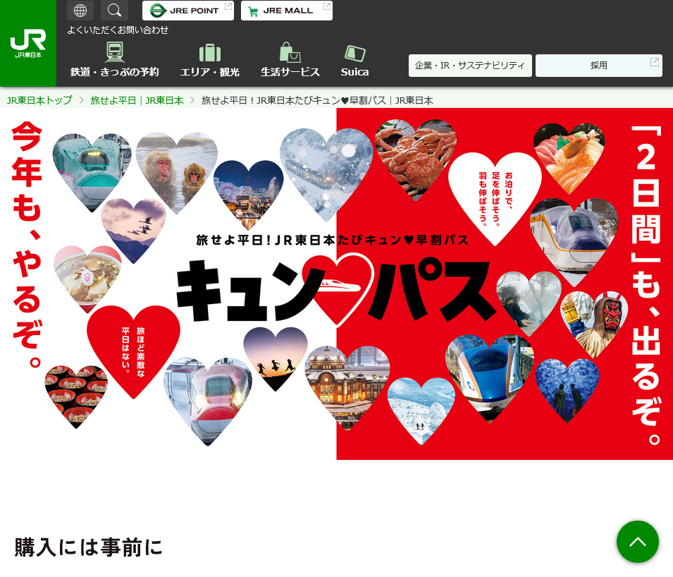 キュンパスの買い方 2025